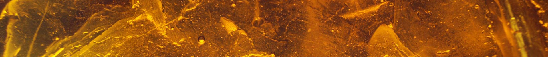 Vetroricerca Bolzano Bozen Pv